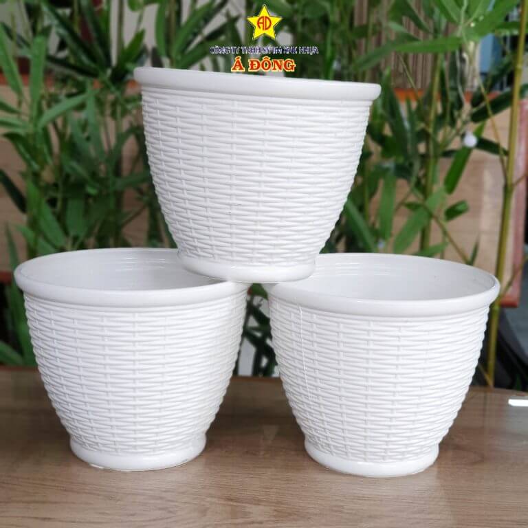 chau-nhua-trong-cay