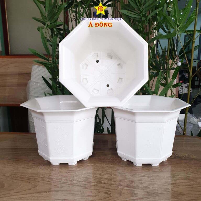 đại ly chậu nhựa trồng hoa