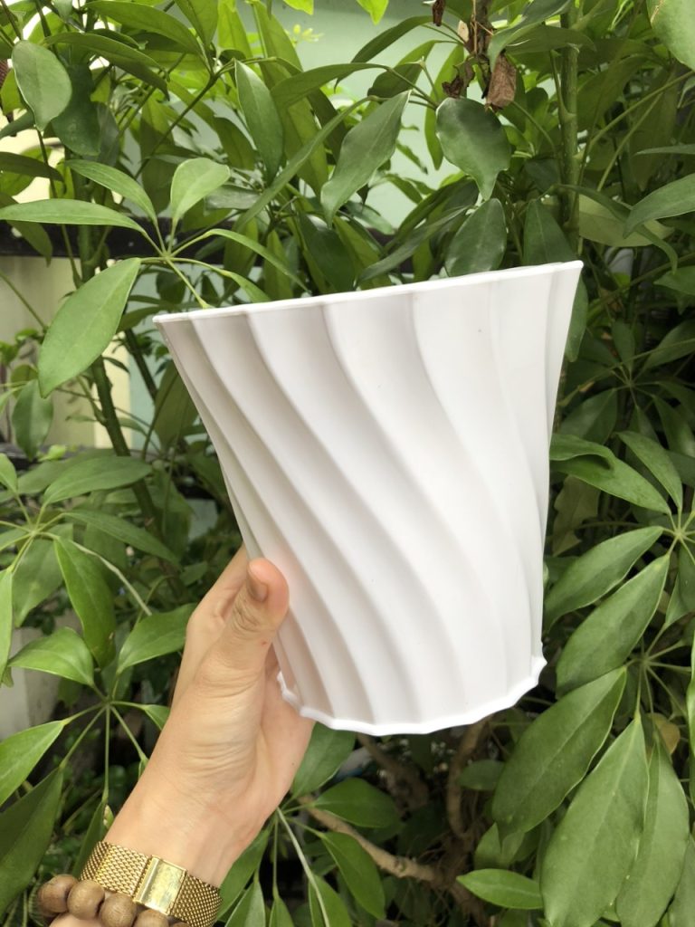 Giá cả chậu nhựa đen cứng: Cập nhật và so sánh 15 26327f6375a8aff6f6b9