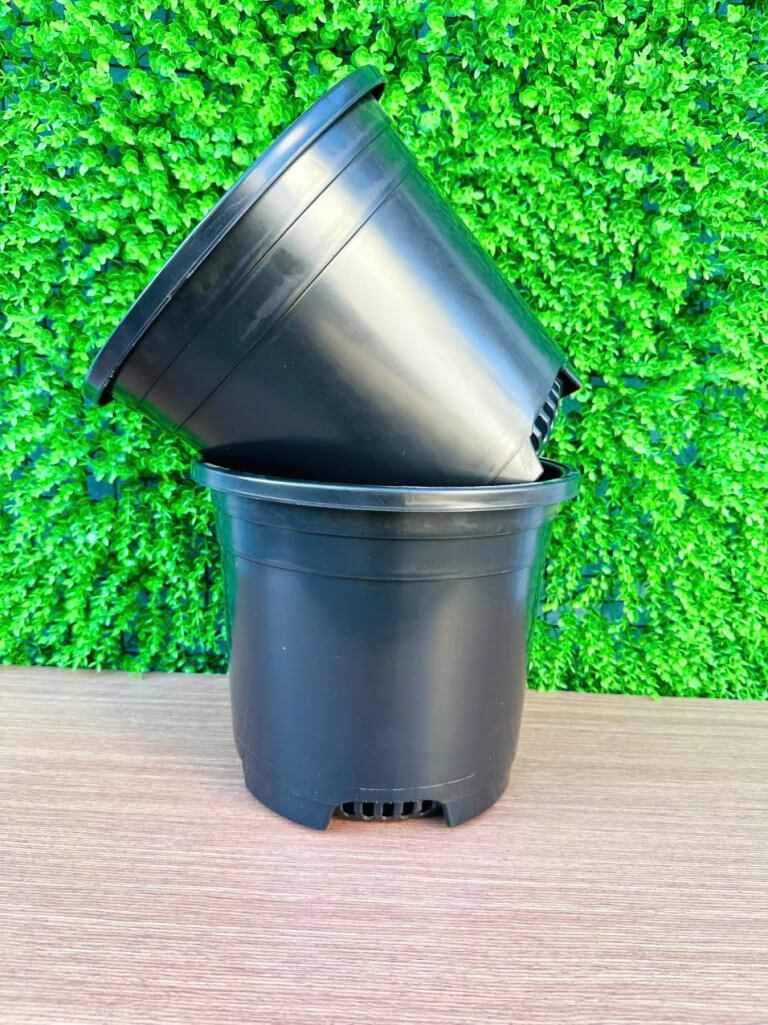 Thương lượng giá cả chậu nhựa đen giá sỉ: "Chìa khóa" thành công 16 z6334597252708 da2be9e144114024f9f8fb9ad9d9df49