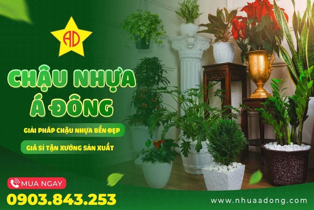 Chậu Nhựa Á Đông – Đồng hành cùng nhà vườn với hơn 20 năm kinh nghiệm