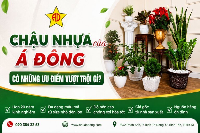 Chậu nhựa của Á Đông có những ưu điểm vượt trội gì? 34 Chậu-nhựa-của-Á-Đông-có-những-ưu-điểm-vượt-trội-gì