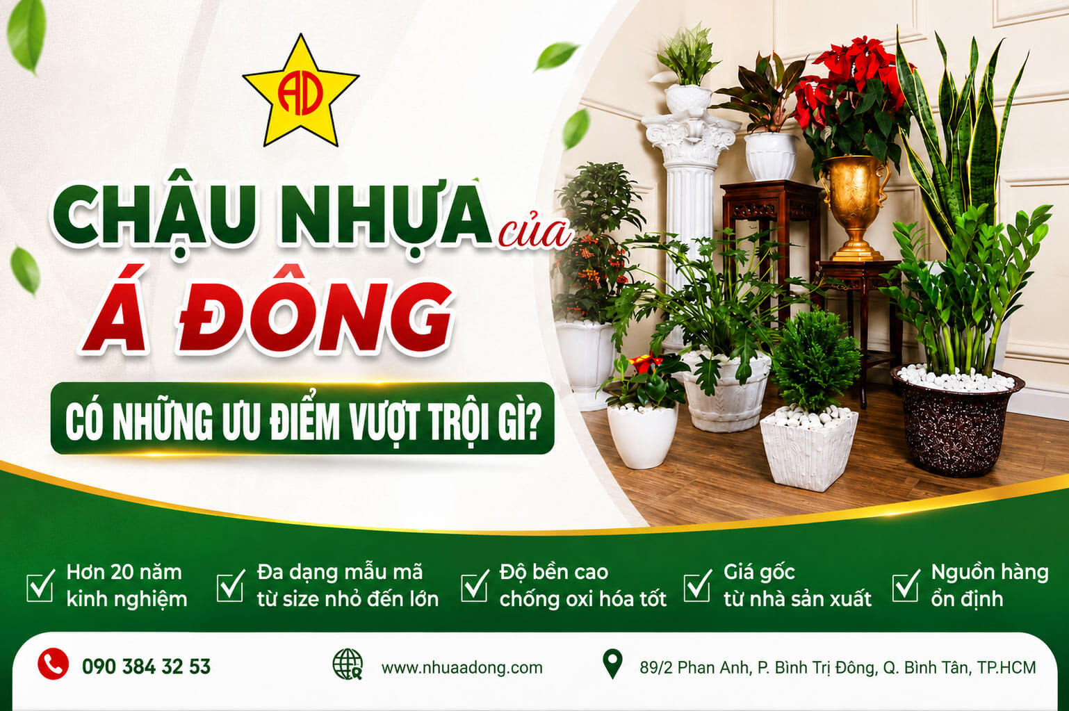 Chậu nhựa của Á Đông có những ưu điểm vượt trội gì?
