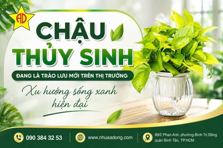Chau thuy sinh dang la trao luu moi tren thi truong – Xu huong song xanh hien dai