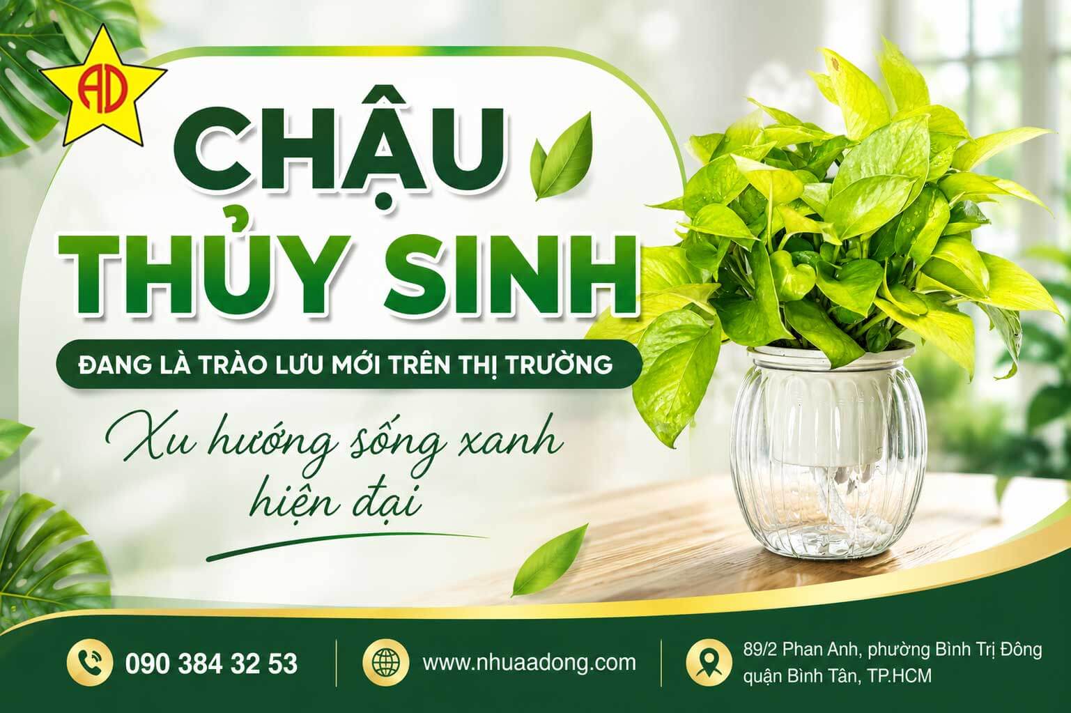 Chậu thủy sinh đang là trào lưu mới trên thị trường – Xu hướng sống xanh hiện đại