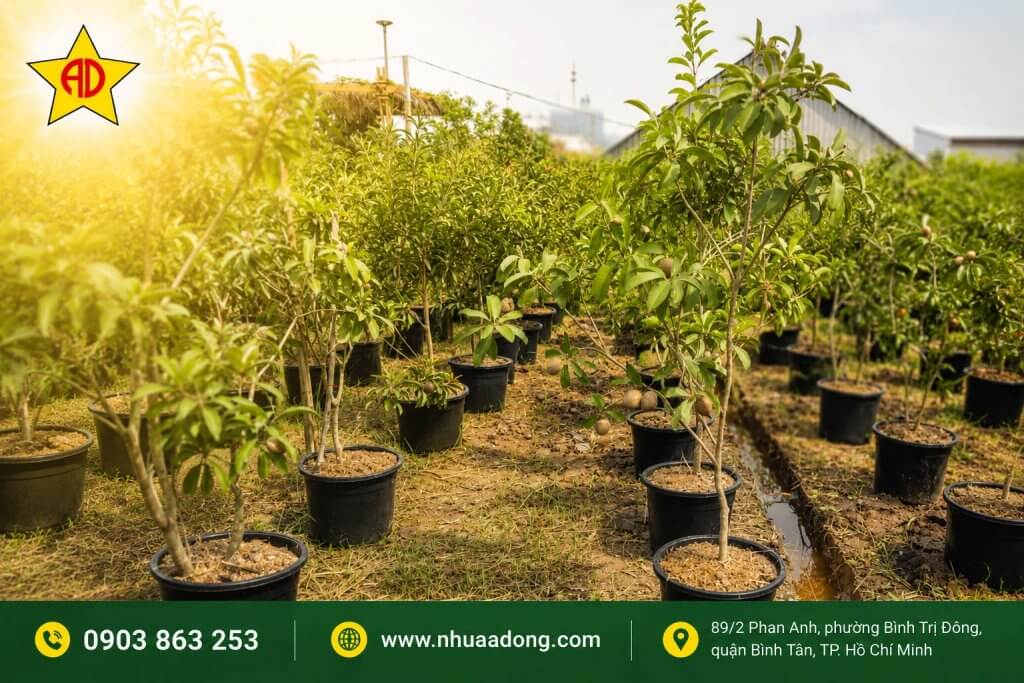 Chọn kiểu dáng chậu theo cách bố trí của nhà vườn