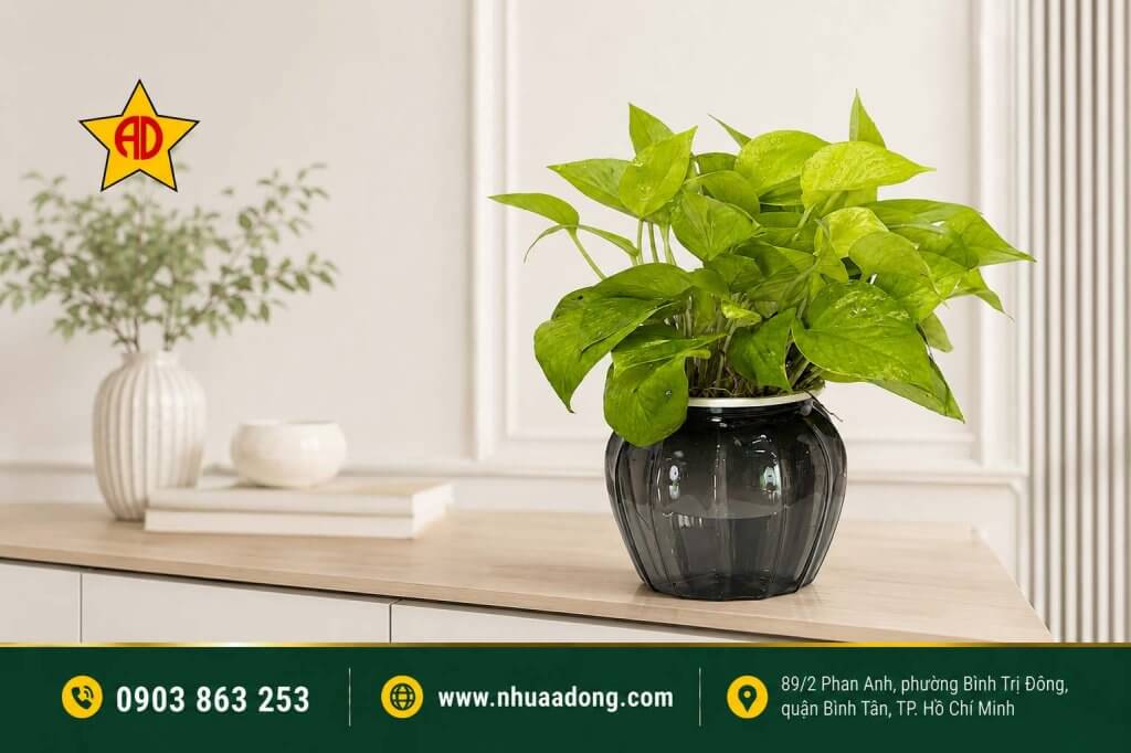 Có nên trồng cây trong chậu nhựa Ưu nhược điểm và cách chọn chậu phù hợp 2