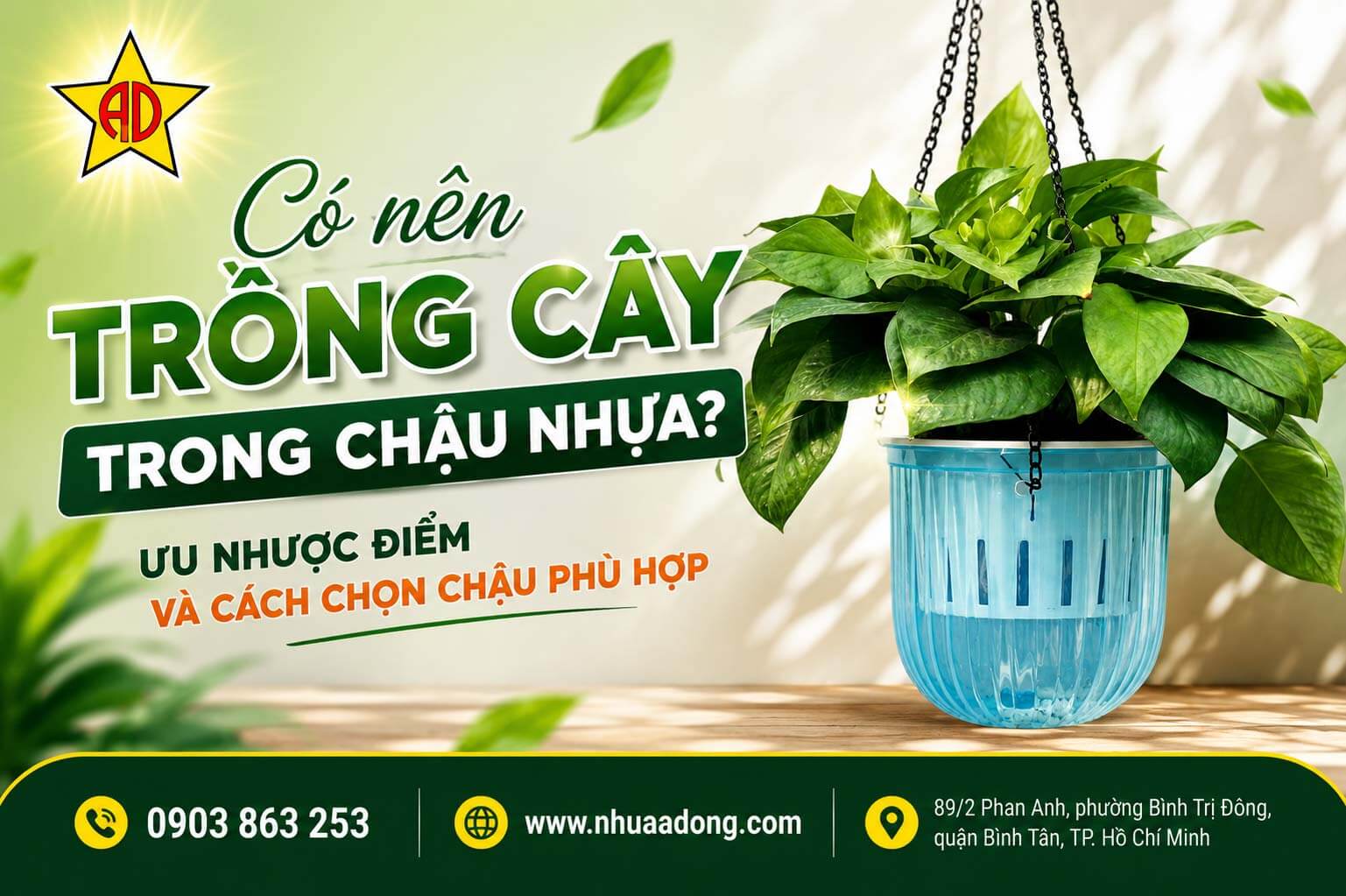 Có nên trồng cây trong chậu nhựa? Ưu nhược điểm và cách chọn chậu phù hợp
