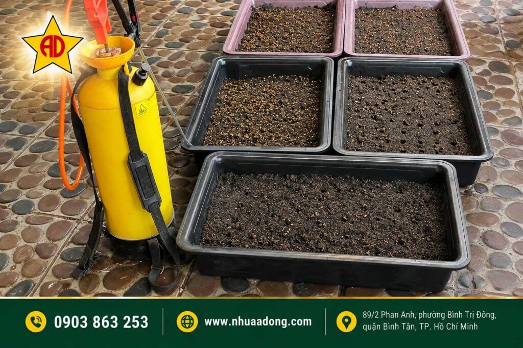 Mua rau hay tự trồng rau trong chậu tốt hơn? Đâu là lựa chọn phù hợp cho gia đình? 2 Mua rau hay tu trong rau trong chau tot hon