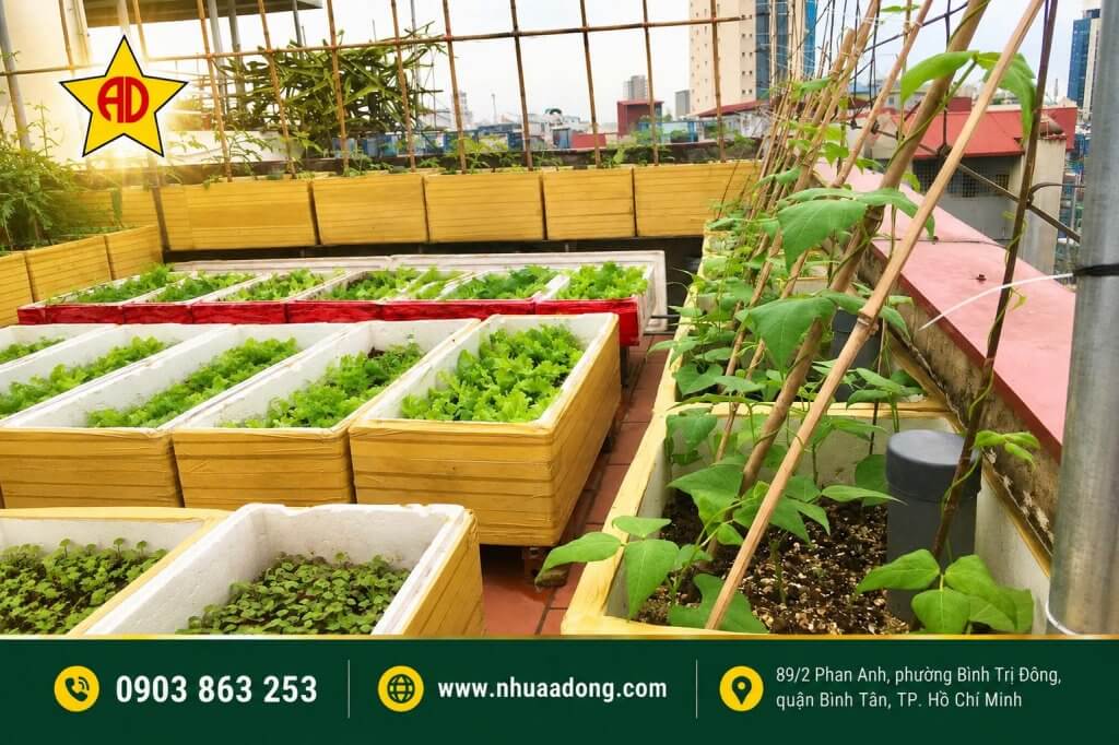 Mua rau hay tự trồng rau trong chậu tốt hơn? Đâu là lựa chọn phù hợp cho gia đình? 1 Mua rau hay tu trong rau trong chau tot hon Dau la lua chon phu hop cho gia dinh 2