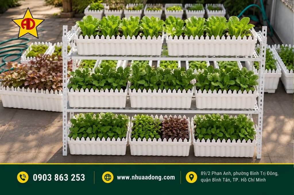Mua rau hay tự trồng rau trong chậu tốt hơn? Đâu là lựa chọn phù hợp cho gia đình? 4 Mua rau hay tu trong rau trong chau tot hon Dau la lua chon phu hop cho gia dinh 4