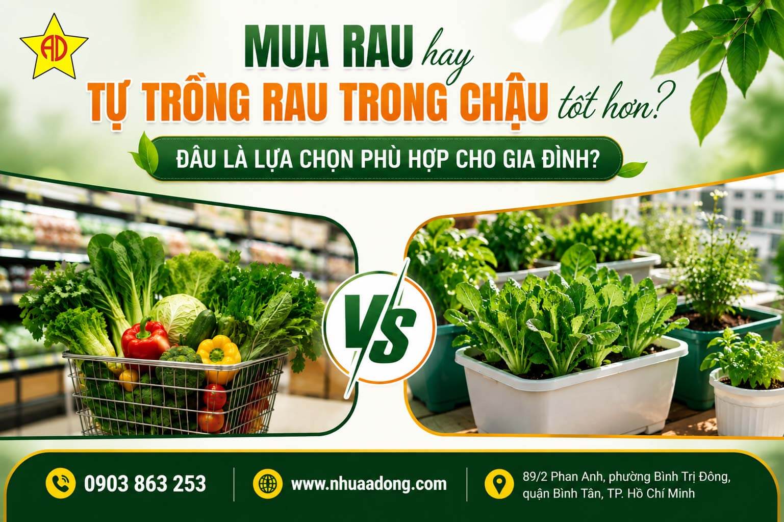 Mua rau hay tự trồng rau trong chậu tốt hơn? Đâu là lựa chọn phù hợp cho gia đình?