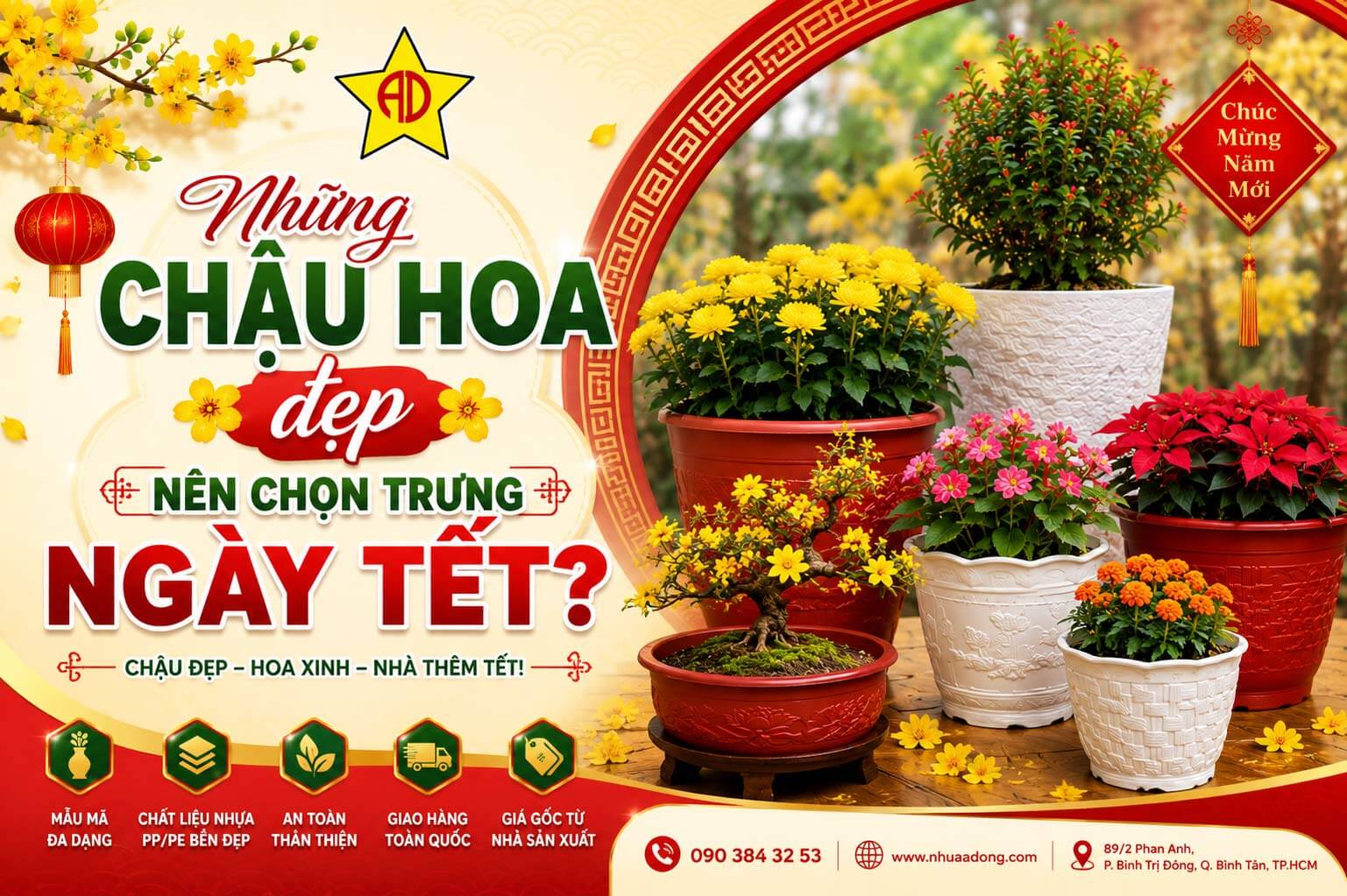 Những chậu hoa đẹp nên chọn trưng ngày Tết?