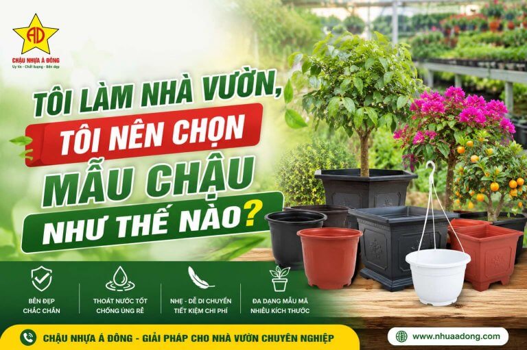 Tôi làm nhà vườn, tôi nên chọn mẫu chậu như thế nào? 11 Tôi làm nhà vườn, tôi nên chọn mẫu chậu như thế nào