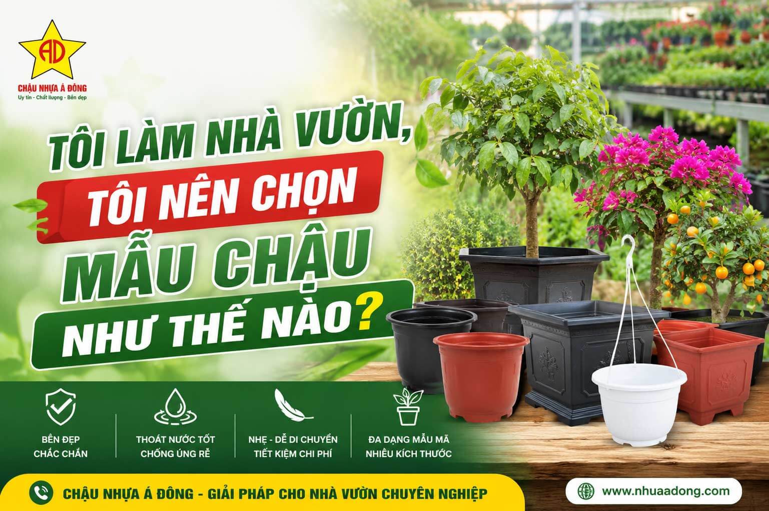 Tôi làm nhà vườn, tôi nên chọn mẫu chậu như thế nào?