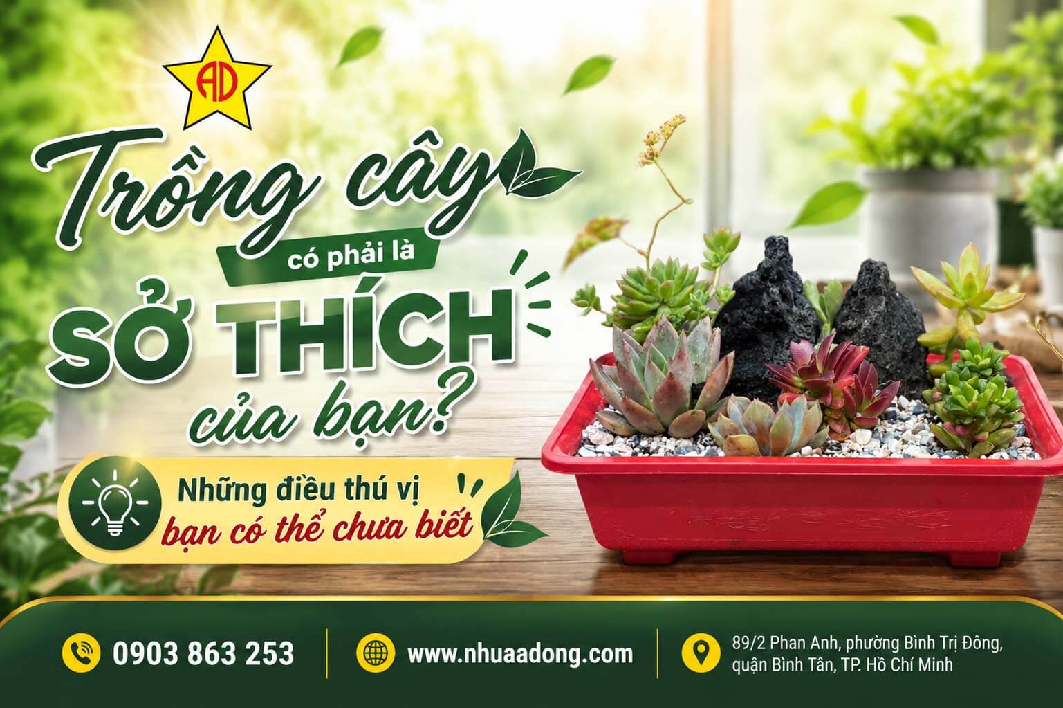 Trồng cây có phải là sở thích của bạn? Những điều thú vị bạn có thể chưa biết