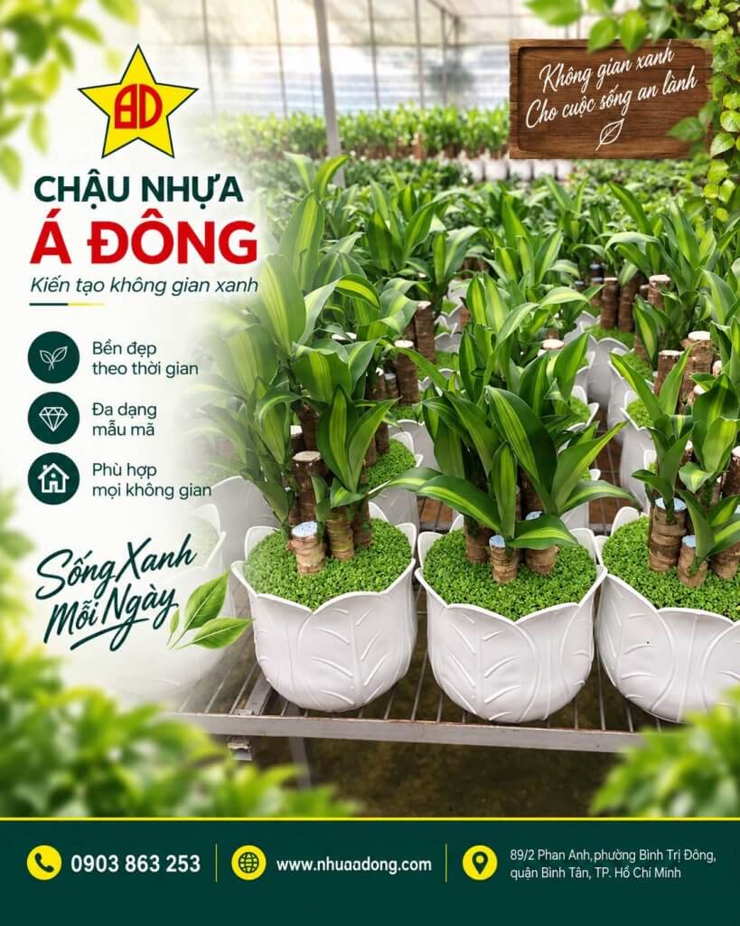 Chậu Nhựa Á Đông