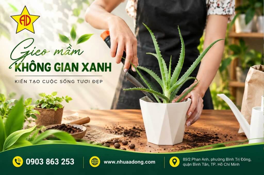 Top 5 Lý Do Nên Trồng Chậu Nha Đam Trong Nhà 3 Chau nha dam trong trong nha