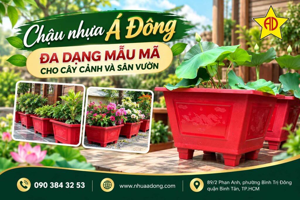 Có nhiều mẫu chậu nhựa để nuôi cá cảnh và trồng sen 5 Chậu nhựa Á Đông đa dạng mẫu mã cho cây cảnh và sân vườn