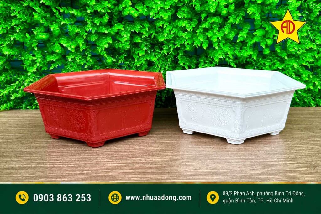 Nên và không nên khi chọn chậu cho cây Bonsai 2 Chau nhua Bonsai phu hop cho cay canh