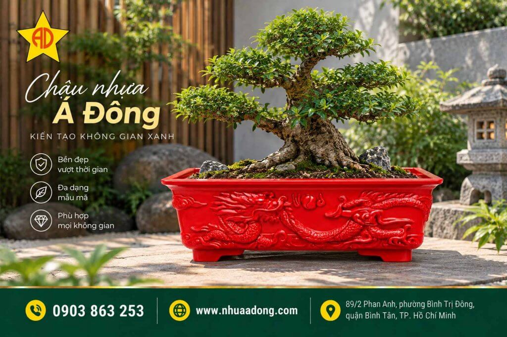 Mẫu chậu nhựa Hot trong năm 2026 – Xu hướng chậu cây đẹp được ưa chuộng 4 Chậu nhựa chữ nhật họa tiết rồng trồng bonsai