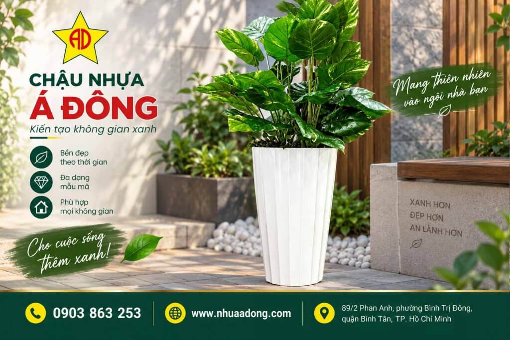 Mẫu chậu nhựa Hot trong năm 2026 – Xu hướng chậu cây đẹp được ưa chuộng 6 Chậu nhựa dáng cao màu trắng trồng cây nội thất