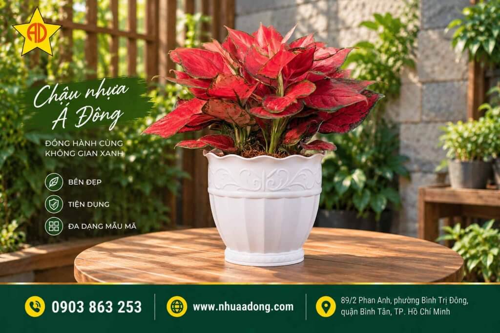 Mẫu chậu nhựa Hot trong năm 2026 – Xu hướng chậu cây đẹp được ưa chuộng 3 Chậu nhựa họa tiết nổi trang trí cây cảnh