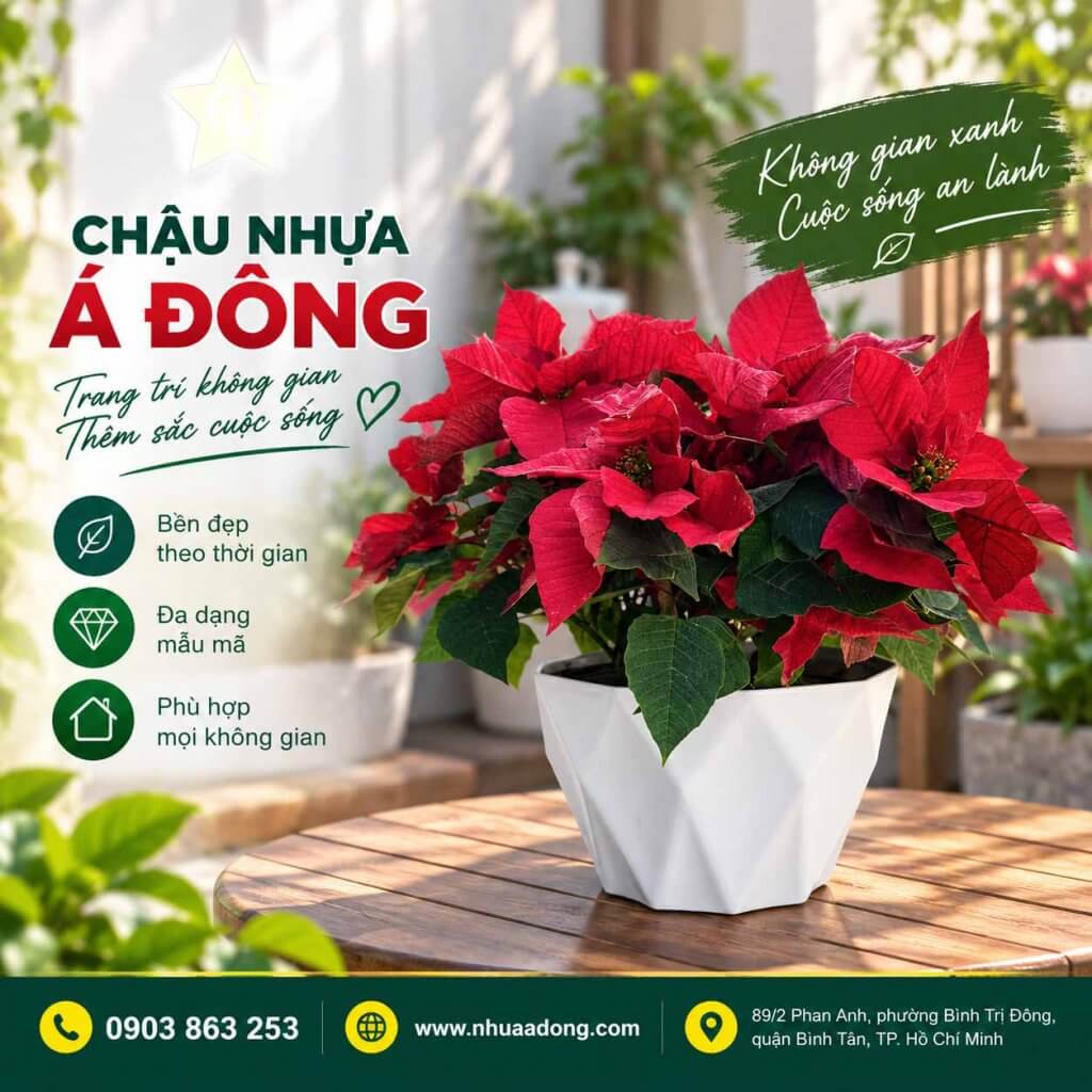 Mẫu chậu nhựa Hot trong năm 2026 – Xu hướng chậu cây đẹp được ưa chuộng 7 Mẫu chậu nhựa Hot trong năm 2026