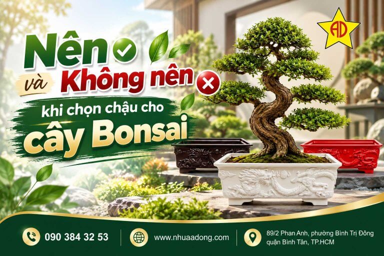 Nên và không nên khi chọn chậu cho cây Bonsai 9 Nên và không nên khi chọn chậu cho cây Bonsai