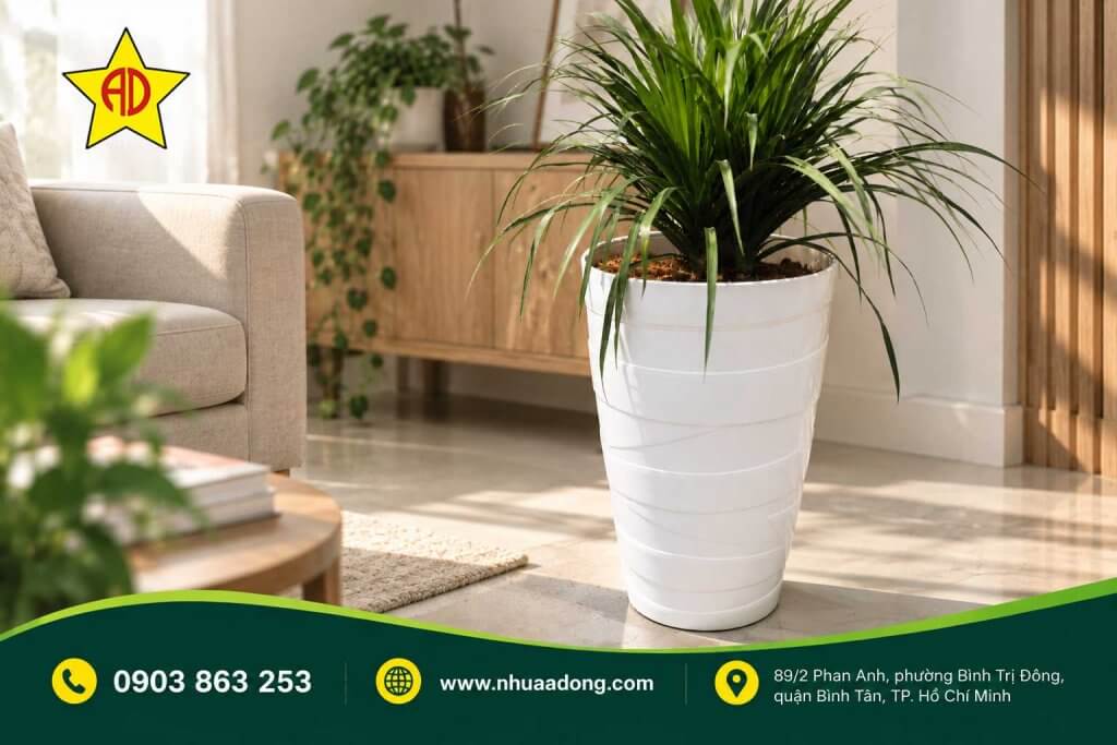 Những chậu cây nên để trong nhà để lọc không khí 7 Nhung chau cay nen de trong nha de loc khong khi 2