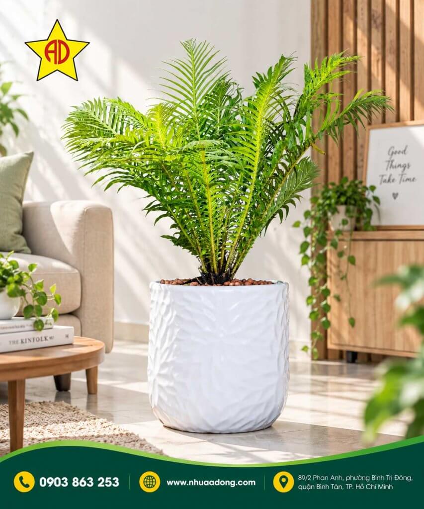 Những chậu cây nên để trong nhà để lọc không khí 5 Nhung chau cay nen de trong nha de loc khong khi 3