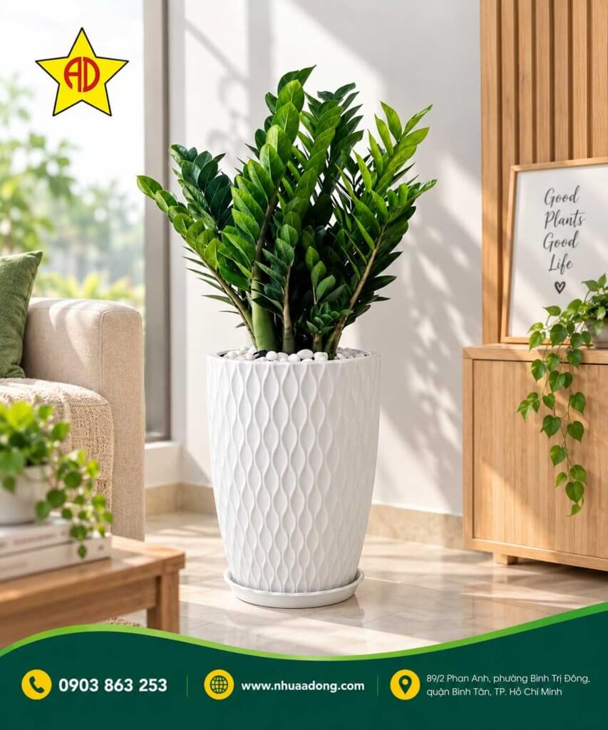 Những chậu cây nên để trong nhà để lọc không khí 6 Nhung chau cay nen de trong nha de loc khong khi 4