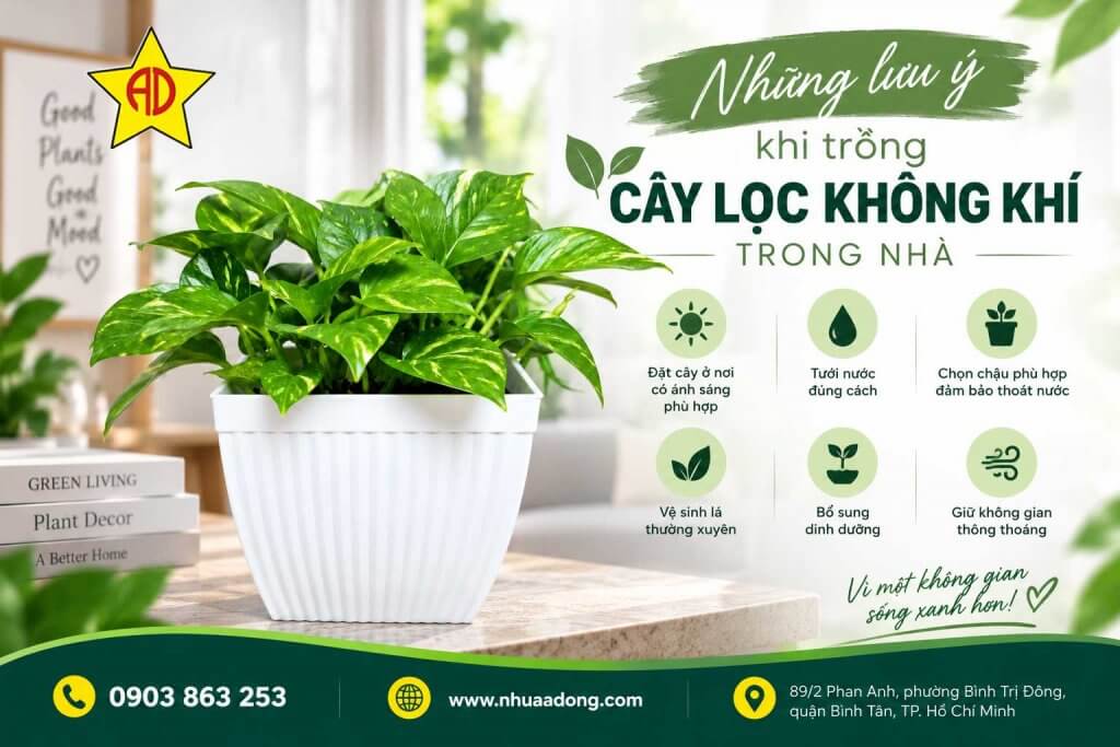 Những chậu cây nên để trong nhà để lọc không khí 8 Nhung chau cay nen de trong nha de loc khong khi 5