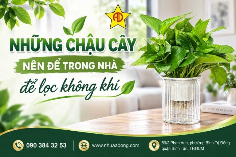 Những chậu cây nên để trong nhà để lọc không khí