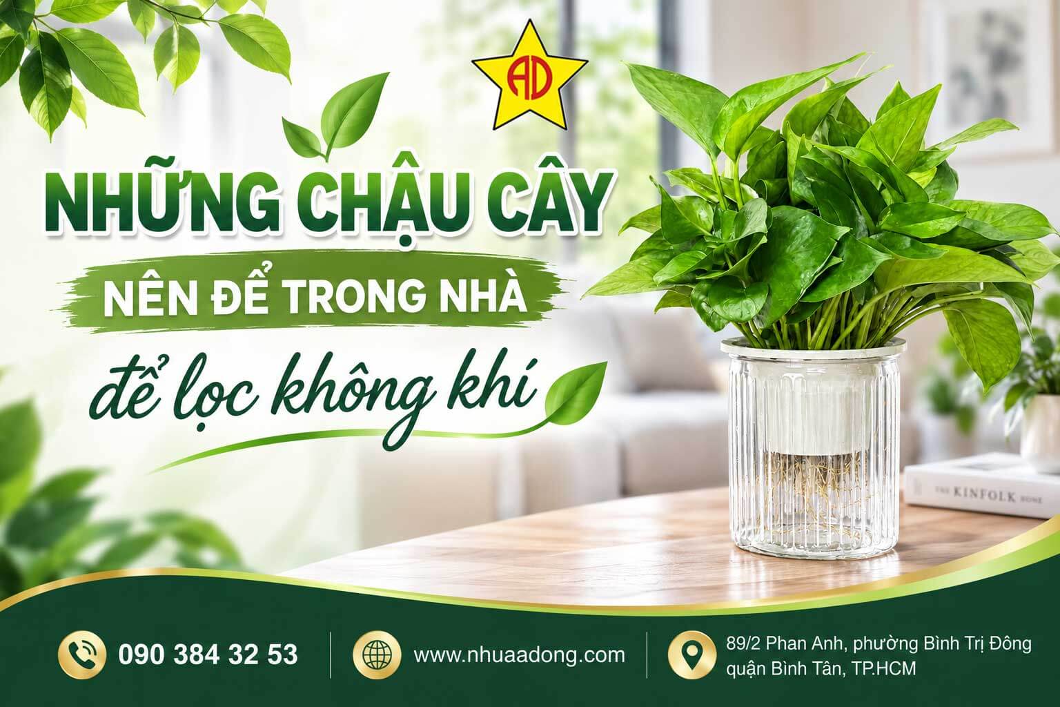 Những chậu cây nên để trong nhà để lọc không khí