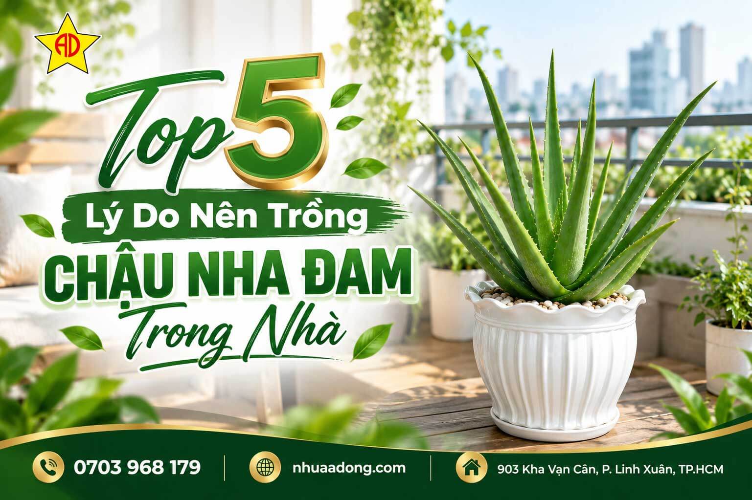 Top 5 Lý Do Nên Trồng Chậu Nha Đam Trong Nhà