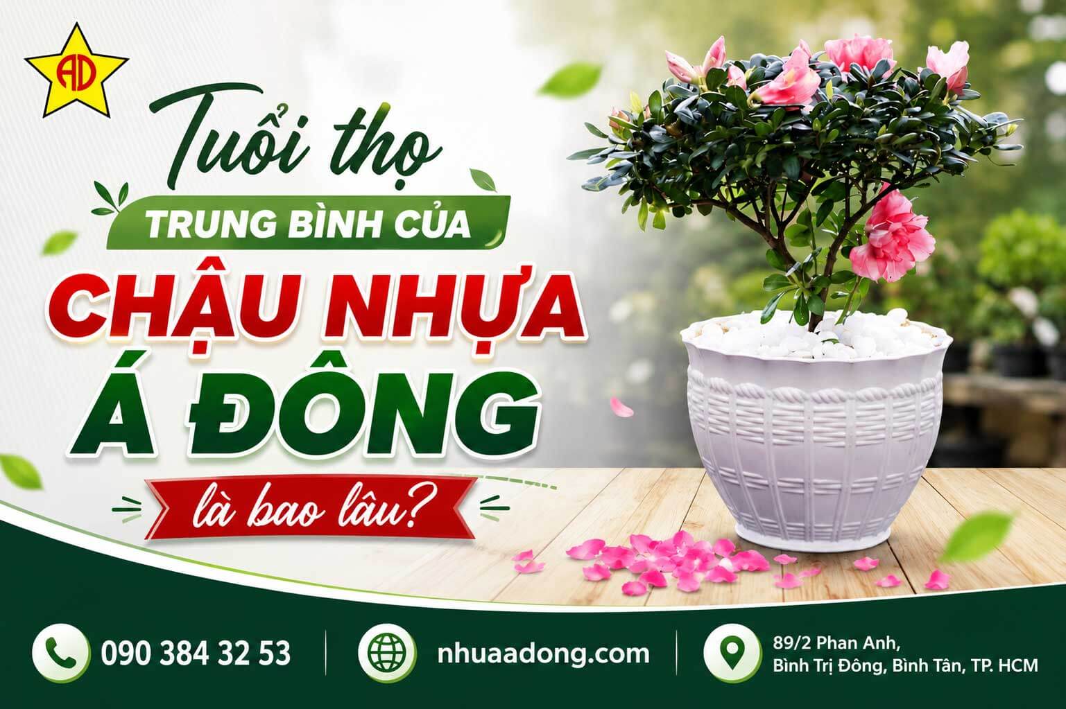 Tuổi thọ trung bình của Chậu Nhựa Á Đông là bao lâu?