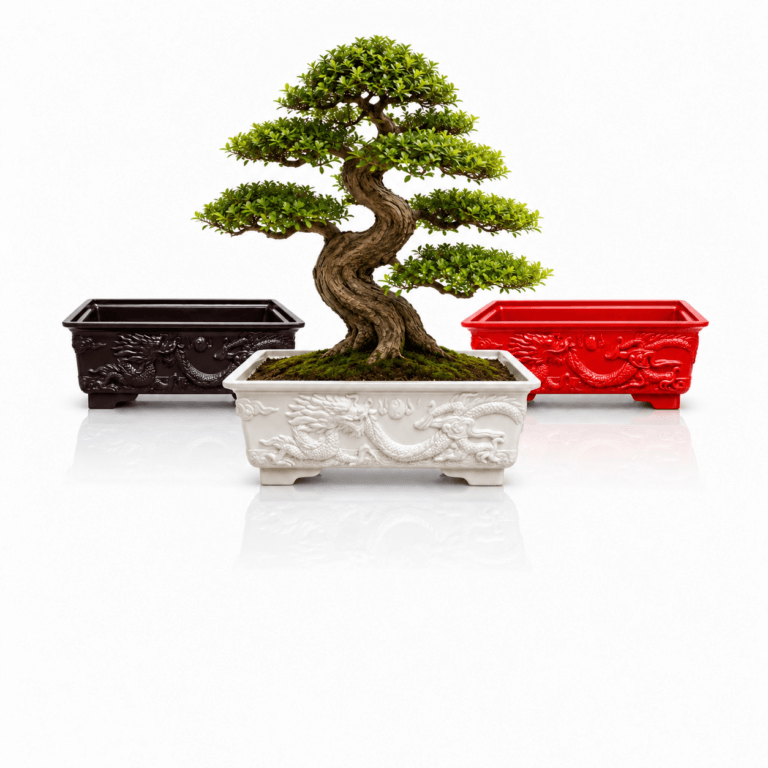Nên và không nên khi chọn chậu cho cây Bonsai 4 bonsai123