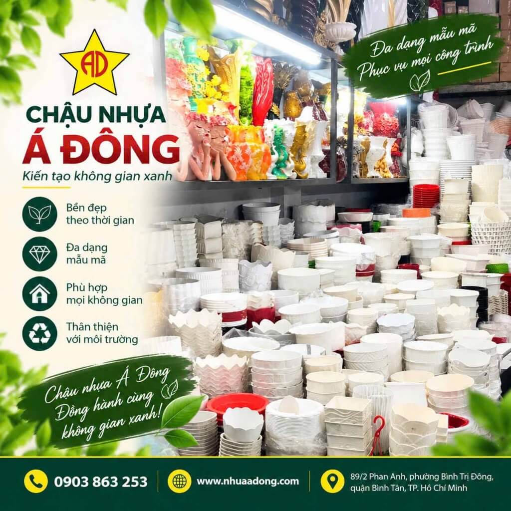 mua chau trong cay 1