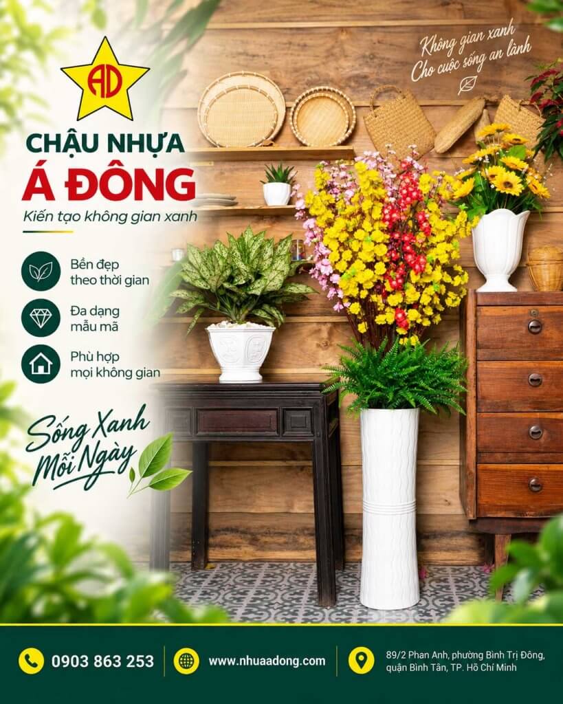 mua chậu trồng cây
