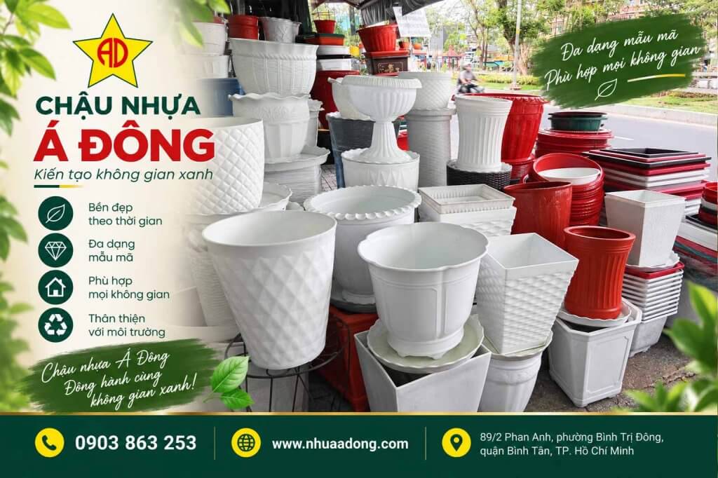 mua chậu online