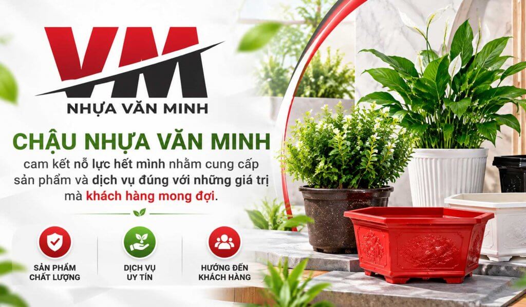 Nhựa Văn Minh