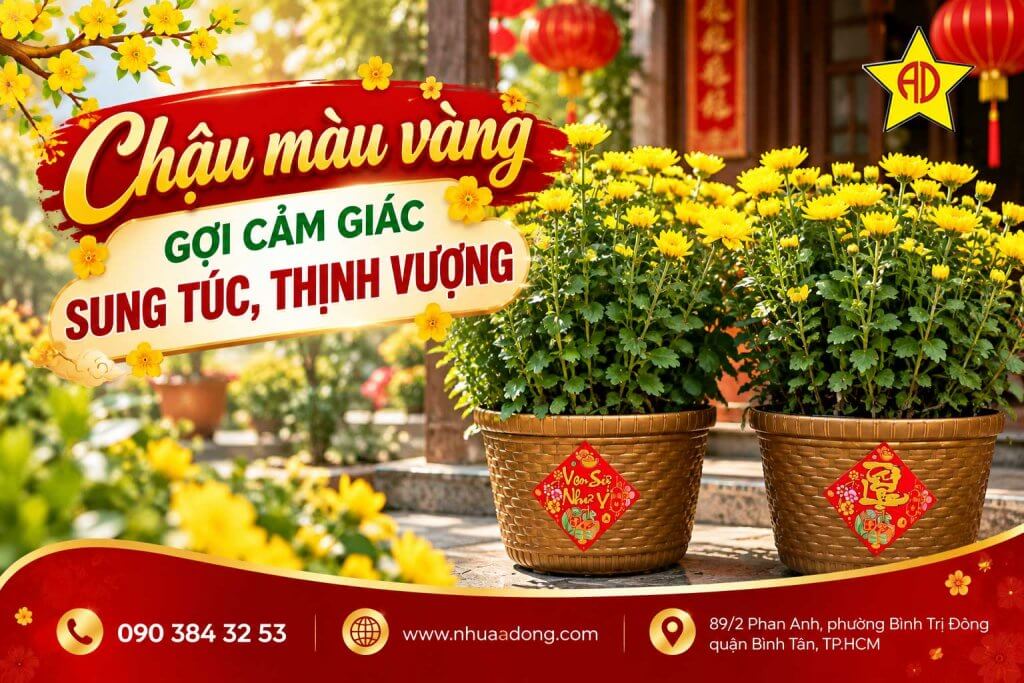 Tại sao ngày Tết lại hay dùng chậu màu đỏ và vàng? 13 Chậu màu vàng gợi cảm giác sung túc, thịnh vượng