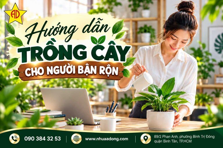Hướng dẫn trồng cây cho người bận rộn